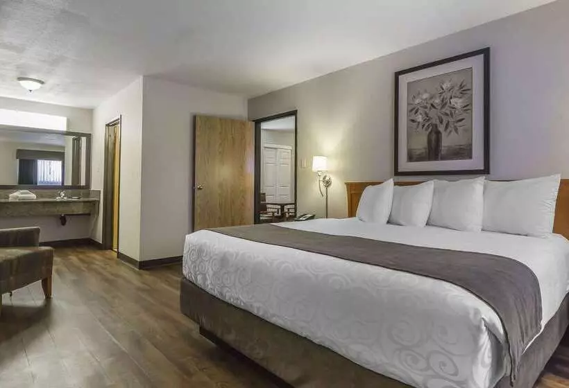 酒店 Quality Inn & Suites