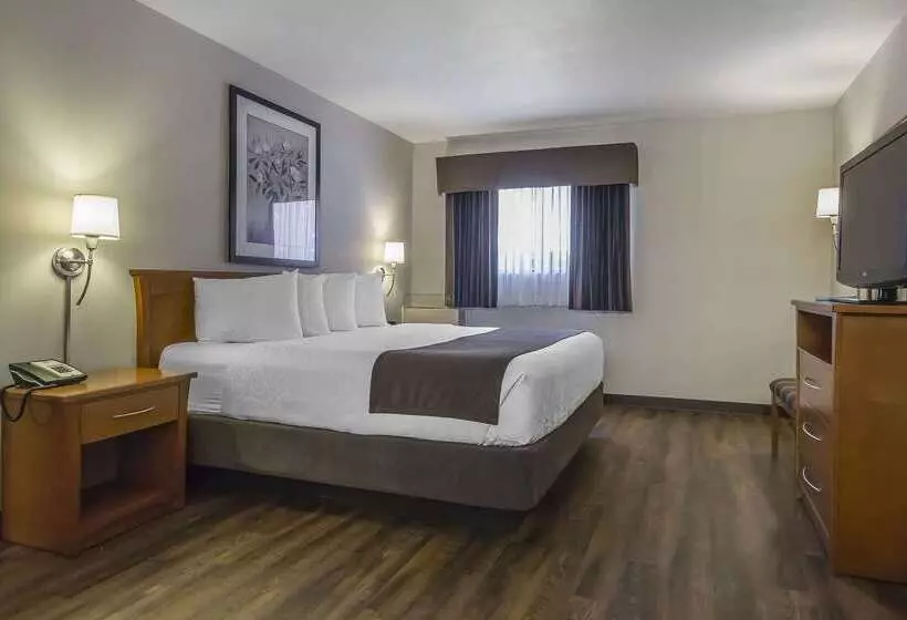 酒店 Quality Inn & Suites