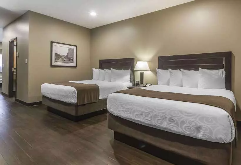 酒店 Quality Inn & Suites