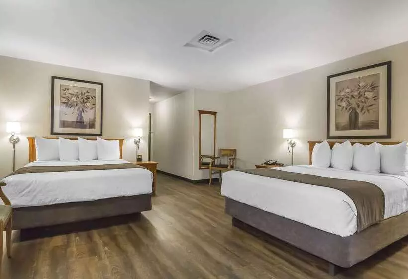 酒店 Quality Inn & Suites