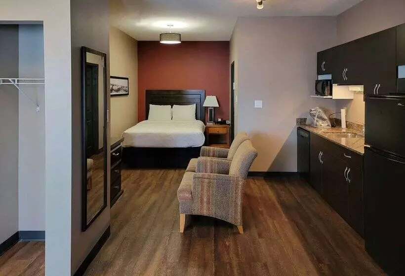 酒店 Quality Inn & Suites