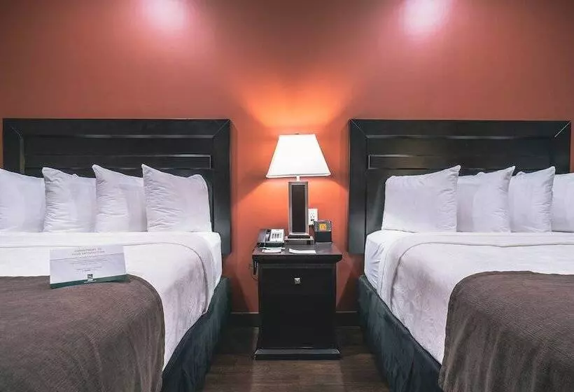 酒店 Quality Inn & Suites