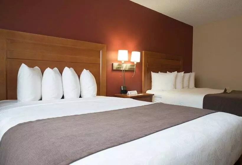 酒店 Quality Inn & Suites