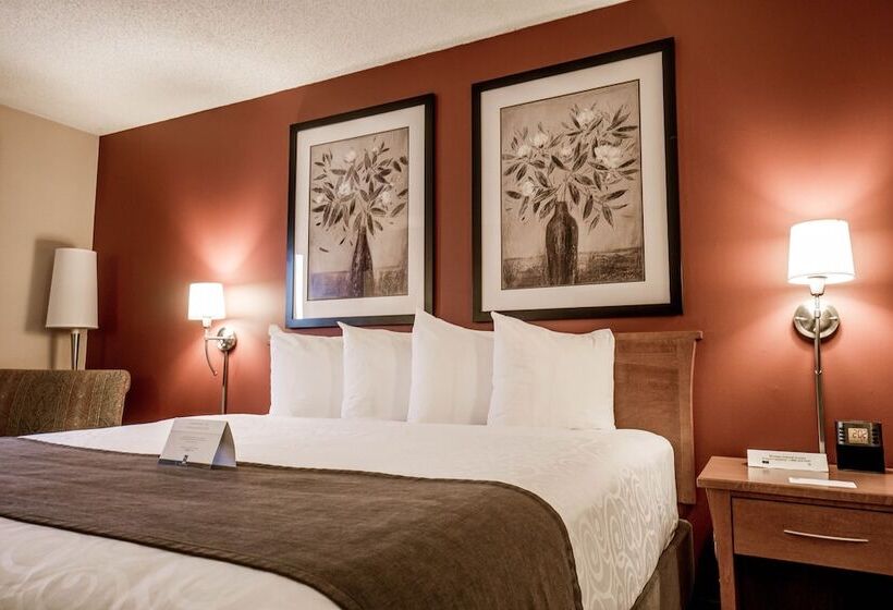 هتل Quality Inn & Suites