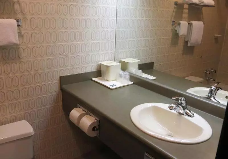 Hotel Quality Inn Waddling Dog