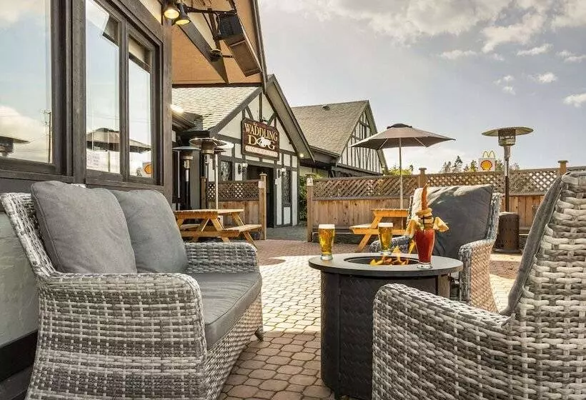 Hotel Quality Inn Waddling Dog