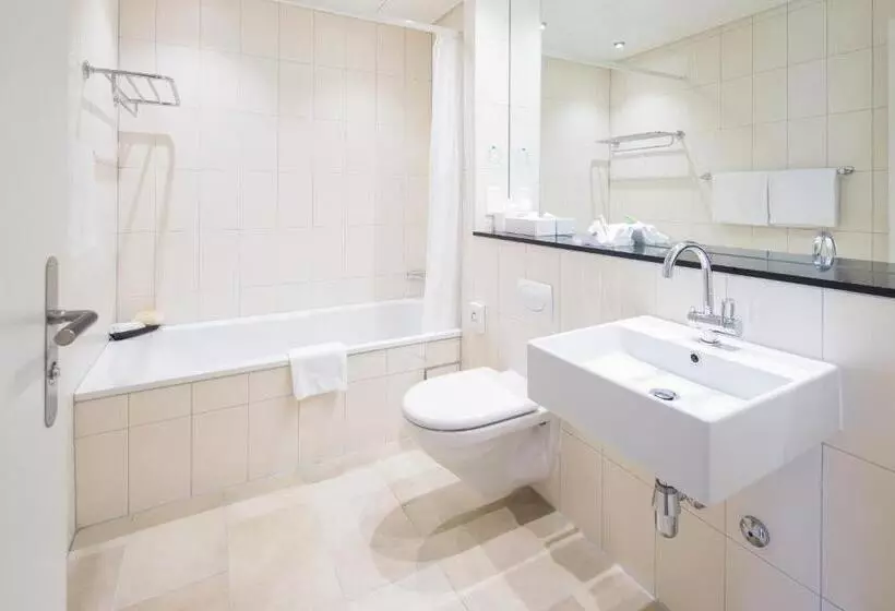 ホテル Schweizerhof Basel