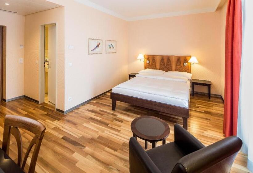 בית מלון כפרי Schweizerhof Basel