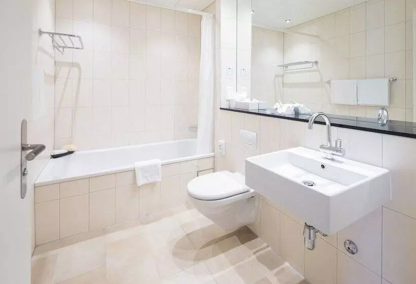 ホテル Schweizerhof Basel