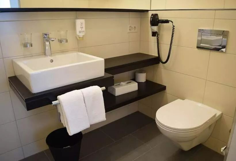 Hotelli Alpina Luzern