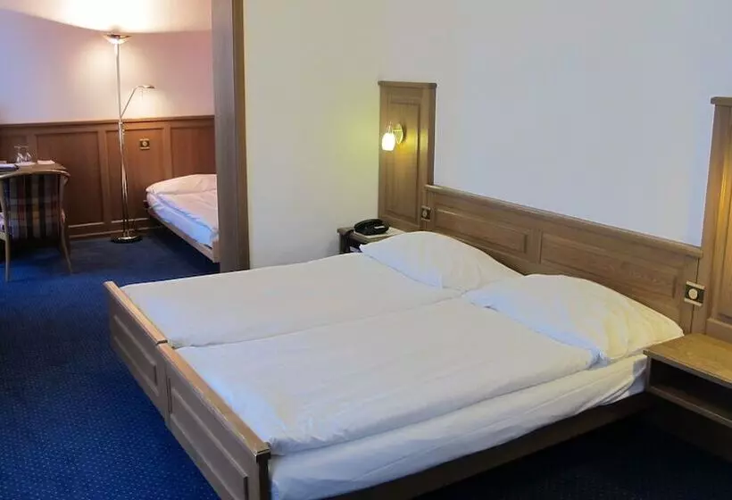 Hotelli Alpina Luzern