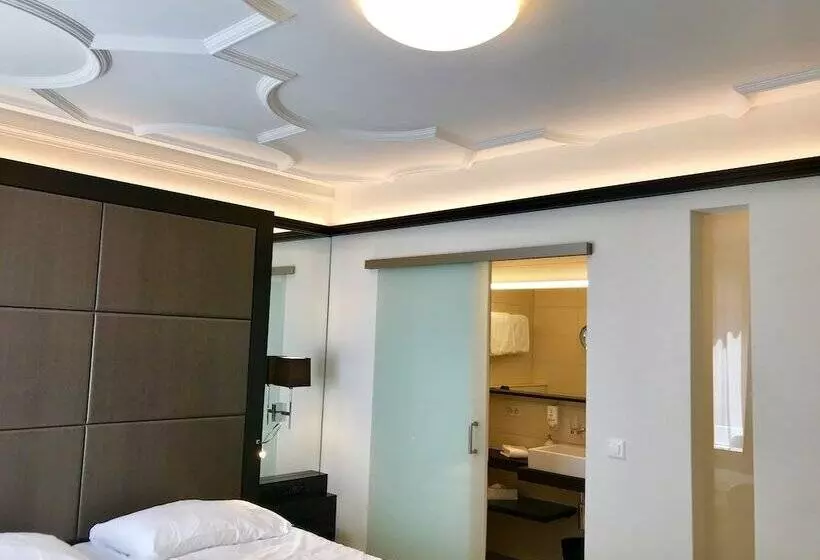 Hotelli Alpina Luzern