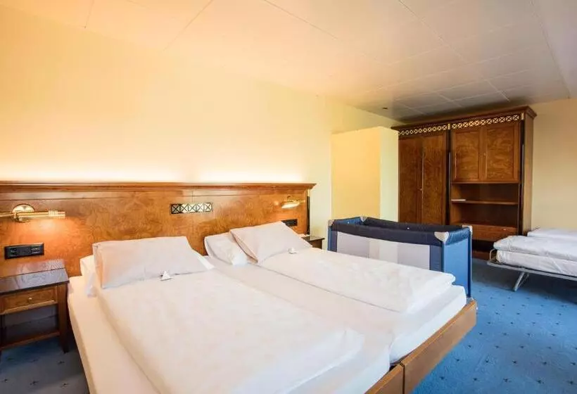 Otel Engimatt City & Garden