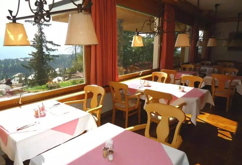 Hotel Grand Hôtel Du Parc