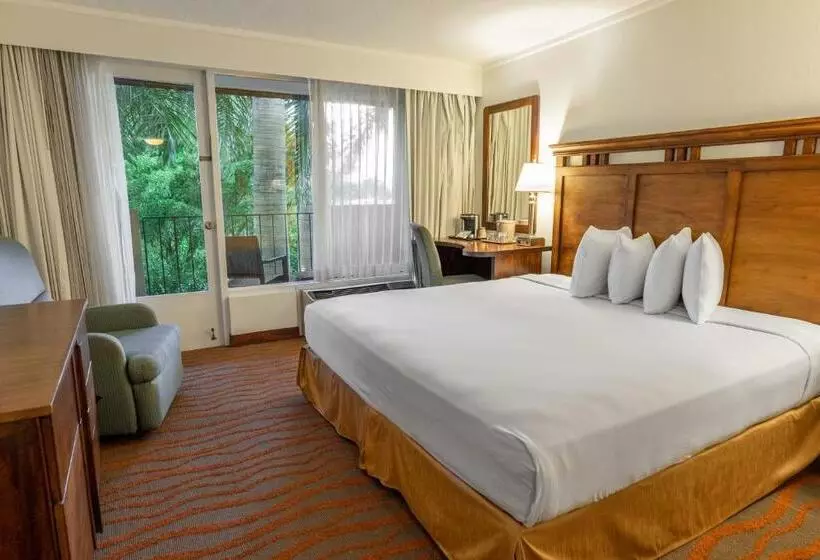 Irazú Hotel & Studios