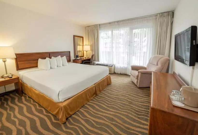 Irazú Hotel & Studios