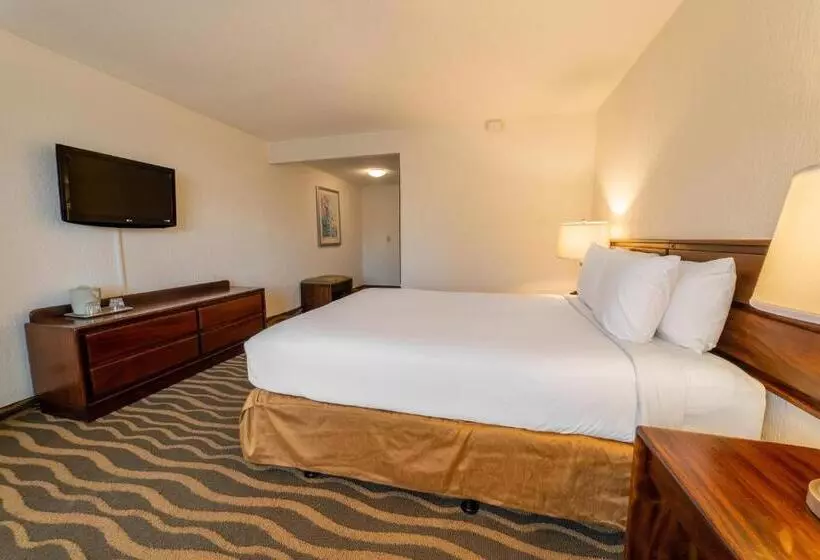 Irazú Hotel & Studios