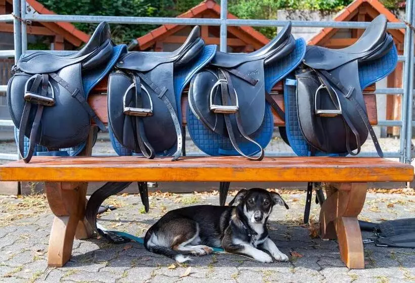 Freund   Privathotels Dr Lohbeck