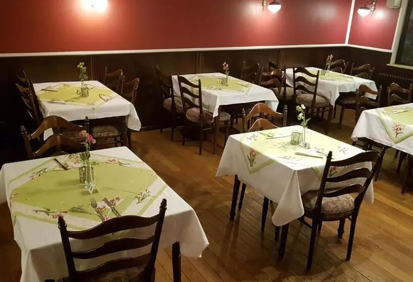 فندق Kölner Hof