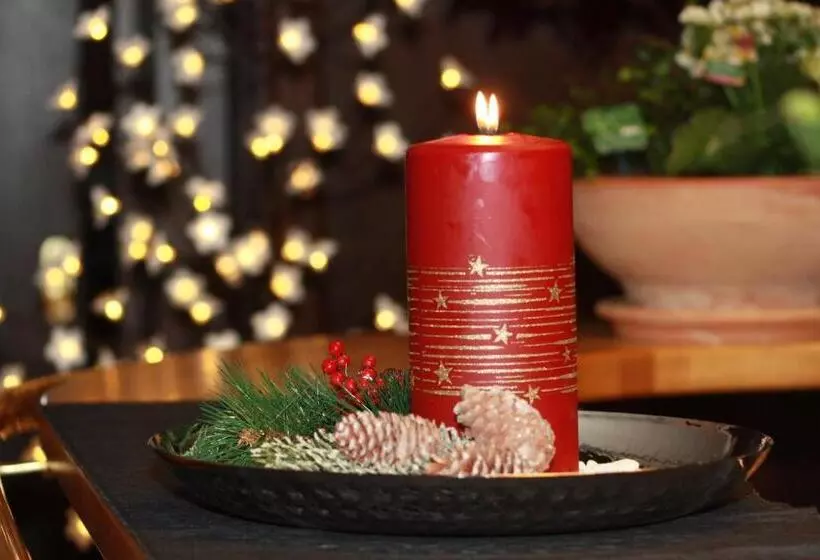 فندق Kölner Hof