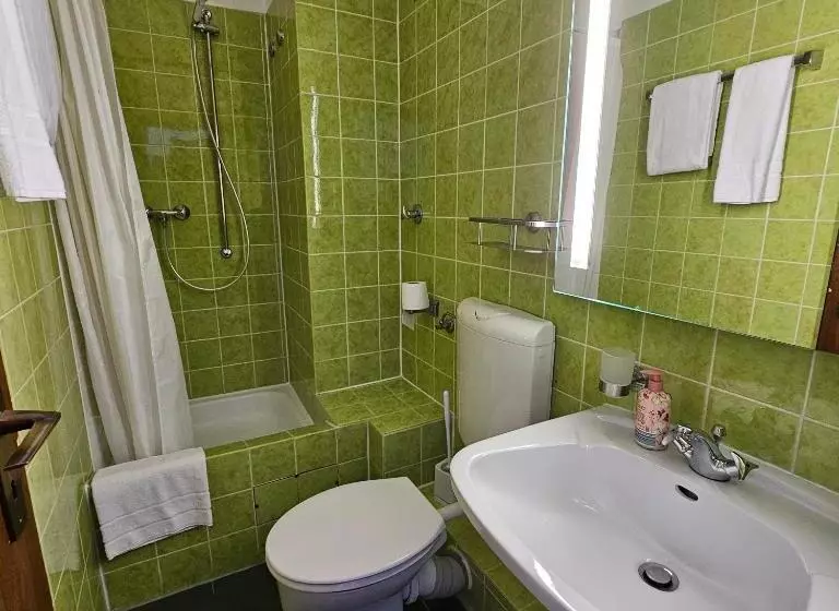 فندق Kölner Hof