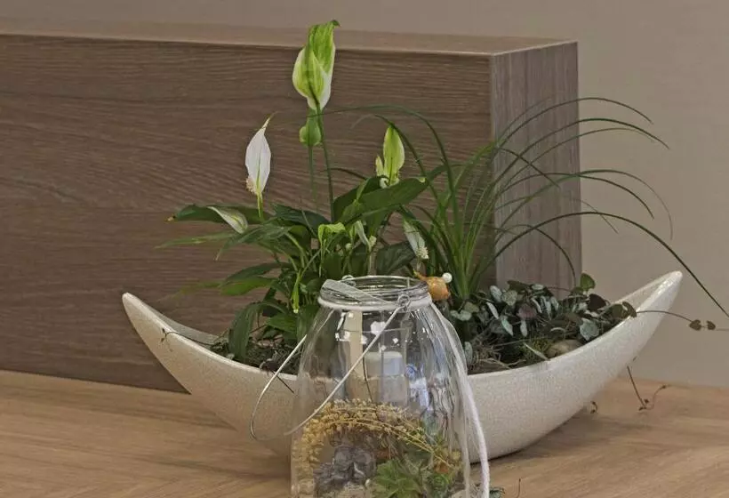 Отель Wittensee Schutzenhof