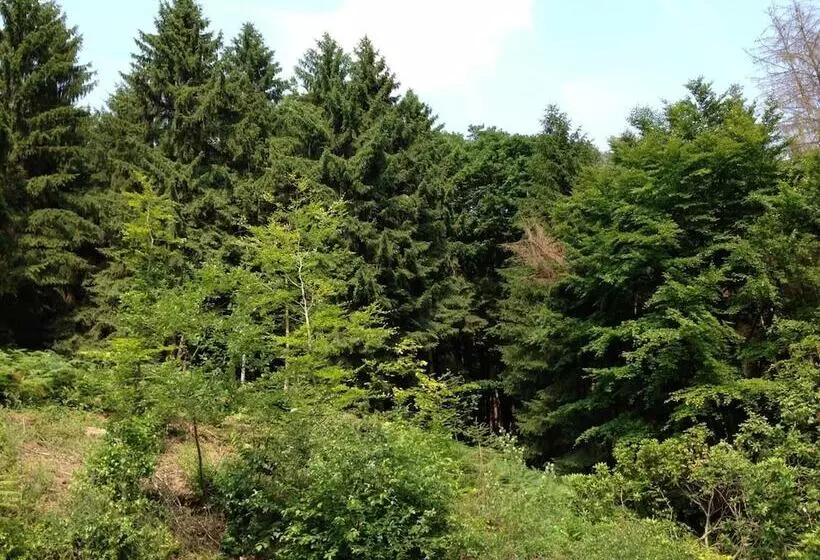 Waldhotel Porta Westfalica