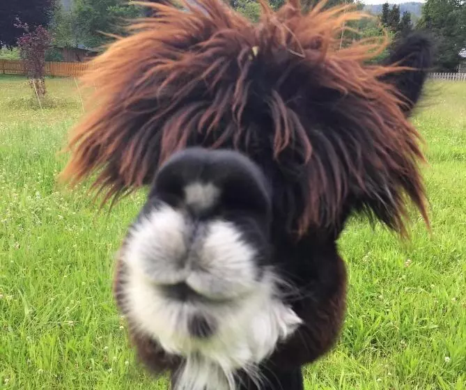 Brugger  S Hotelpark Am Titisee