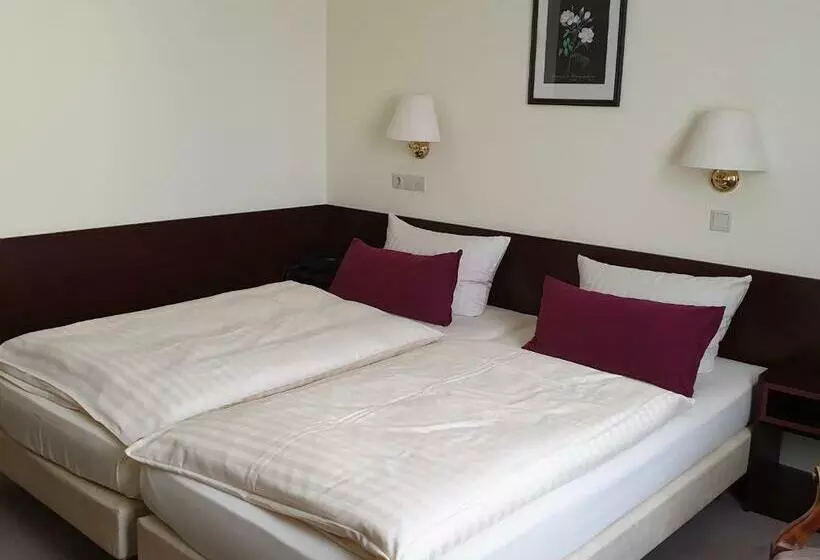 ホテル Bürgerhof Wetzlar