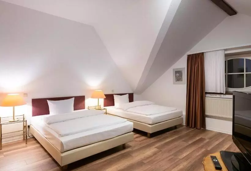 ホテル Bürgerhof Wetzlar