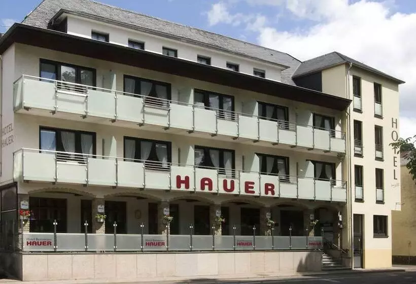 酒店 Hauer