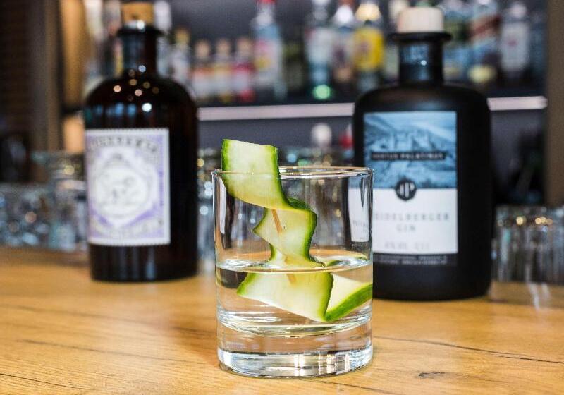 هتل Ibis Heidelberg Hauptbahnhof