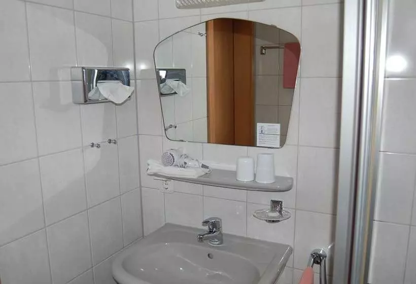 Отель Landgasthaus Pfahl