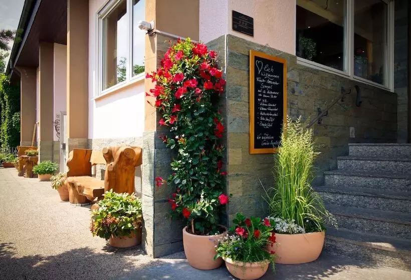 בית מלון כפרי Odenwaldblick