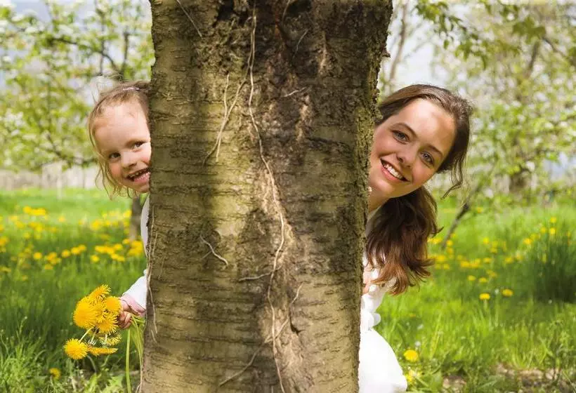 Ringhotel Bömers Mosel Land
