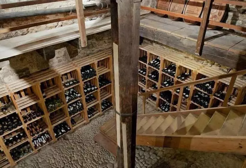 酒店 Zum Roten Bären