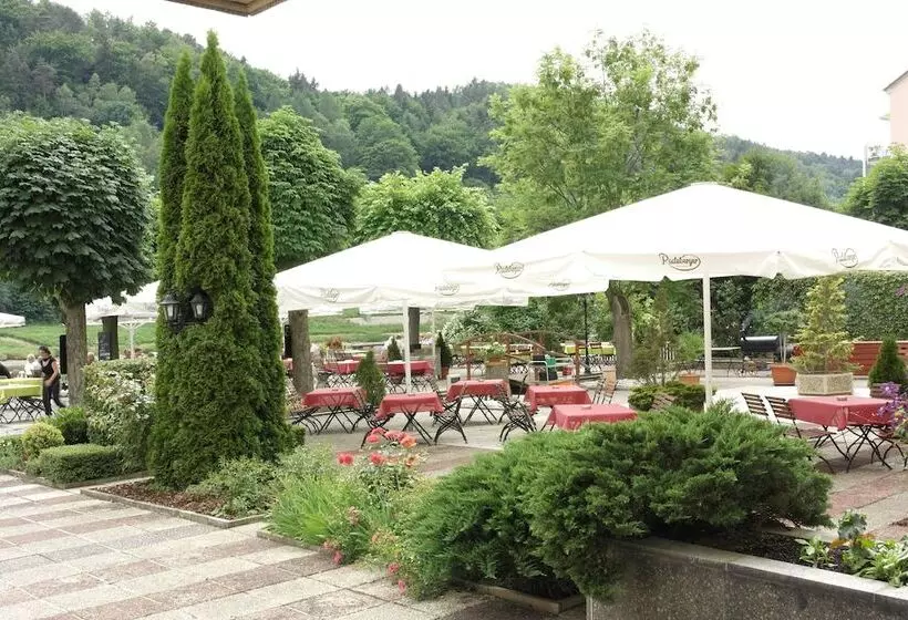 Elbhotel Bad Schandau