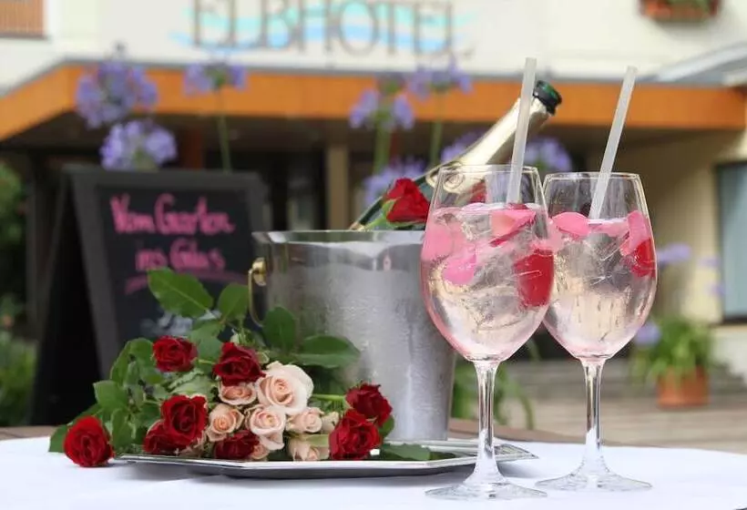 Elbhotel Bad Schandau