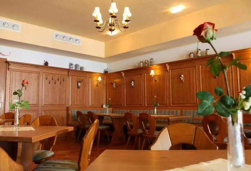 Elbhotel Bad Schandau