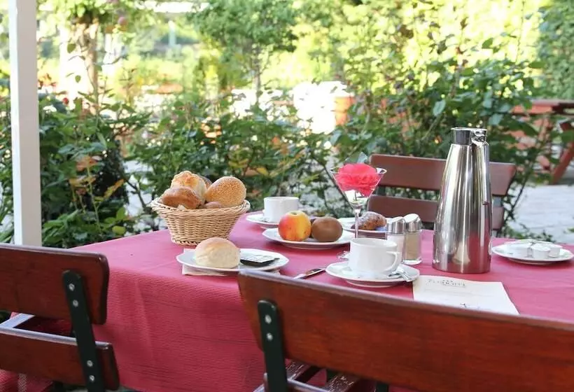 Elbhotel Bad Schandau