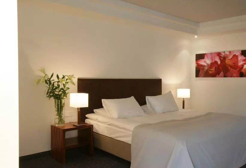 ホテル Erzgiesserei Europe