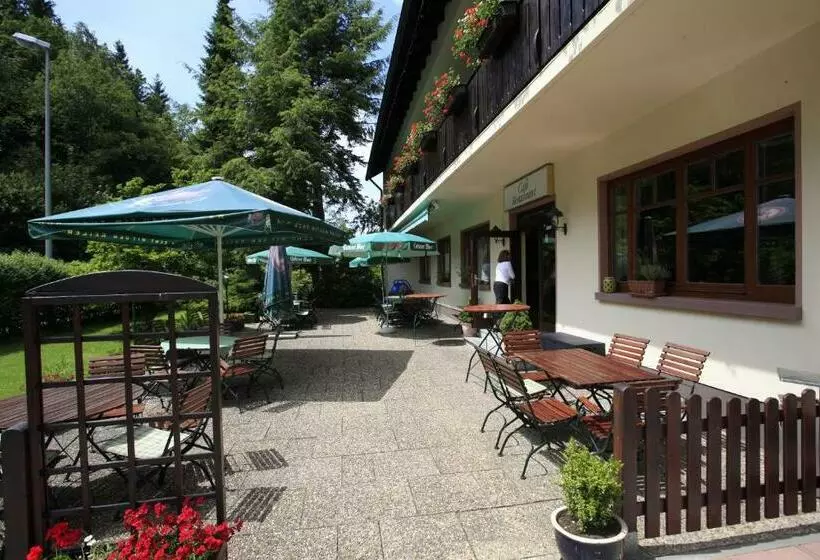 Flair Hotel Hochspessart