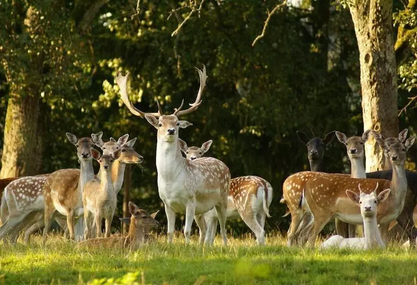 Parkhotel Bad Griesbach