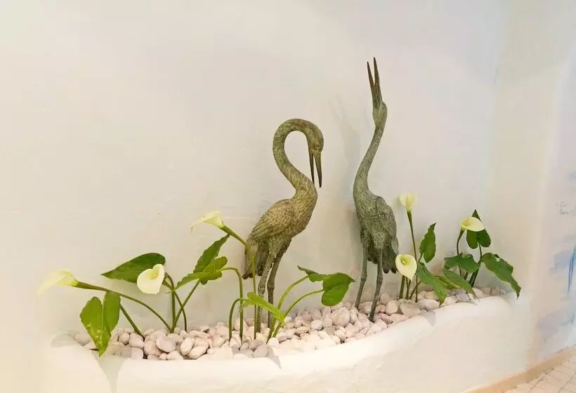 Hotelli Wittelsbacher Hof Swiss Quality