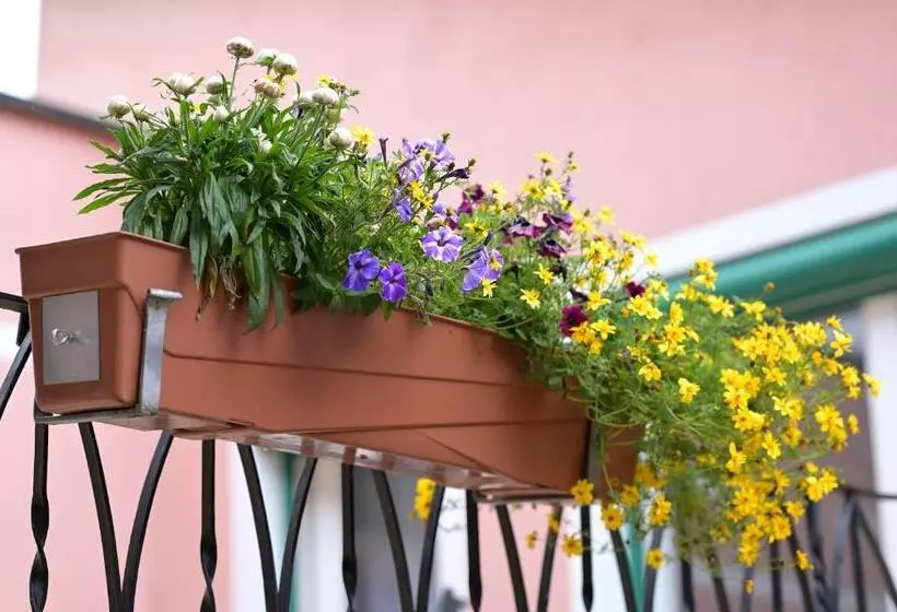 Hotel Zrenners Garni