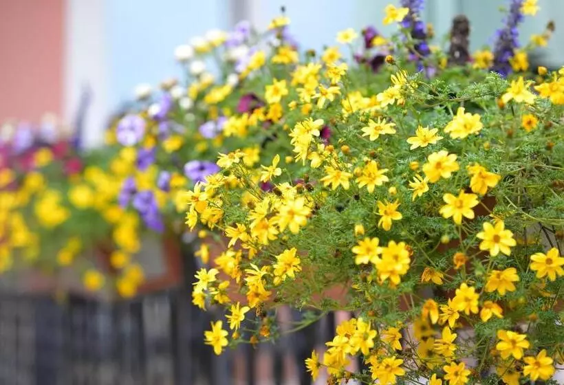 Hotel Zrenners Garni