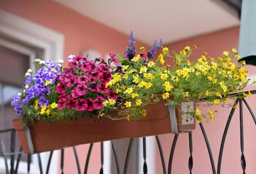 Hotel Zrenners Garni