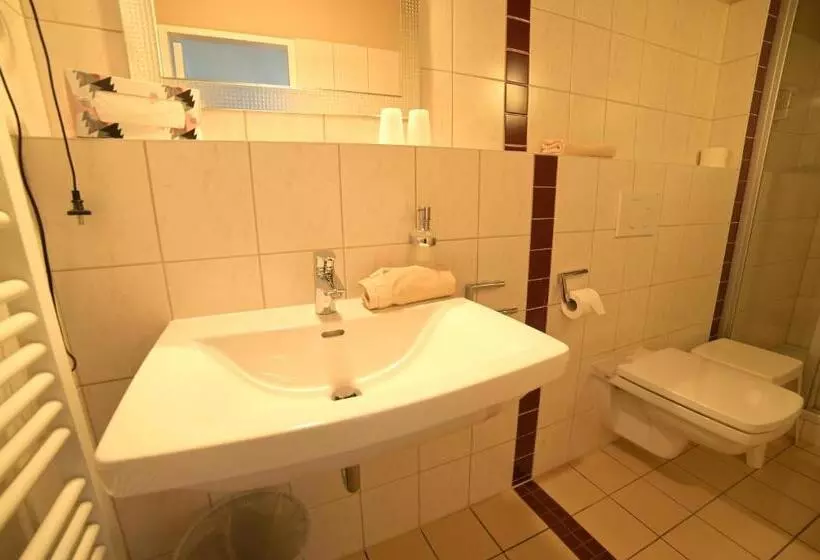 Hotel Zrenners Garni