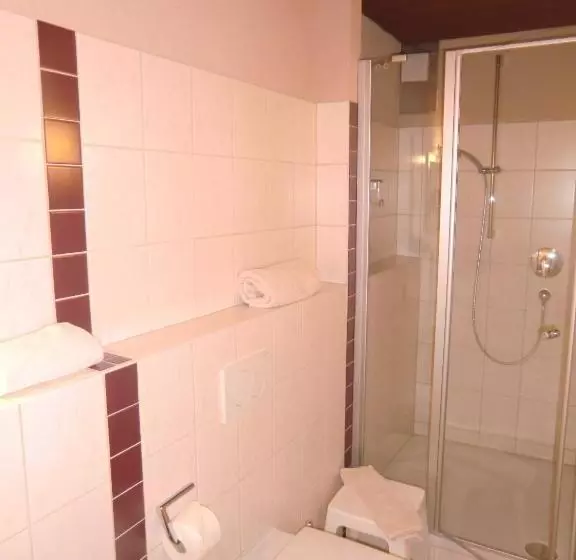 Hotel Zrenners Garni