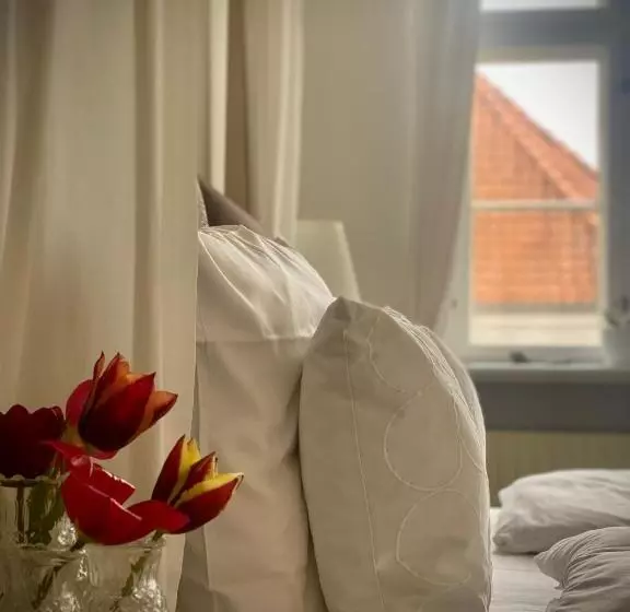 فندق Brødremenighedens